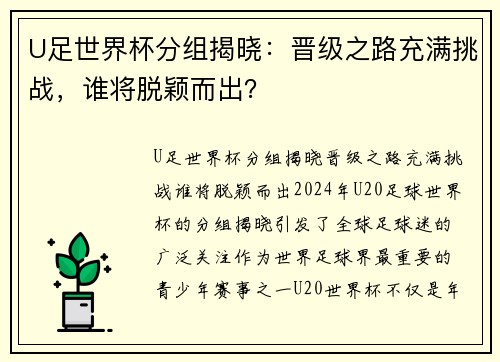 U足世界杯分组揭晓：晋级之路充满挑战，谁将脱颖而出？