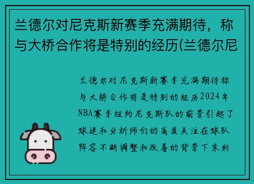 兰德尔对尼克斯新赛季充满期待，称与大桥合作将是特别的经历(兰德尔尼克斯定妆照)