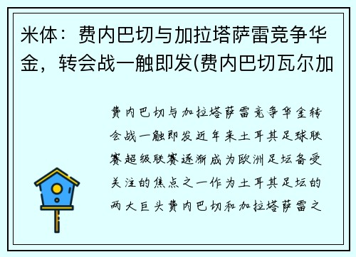 米体：费内巴切与加拉塔萨雷竞争华金，转会战一触即发(费内巴切瓦尔加斯)