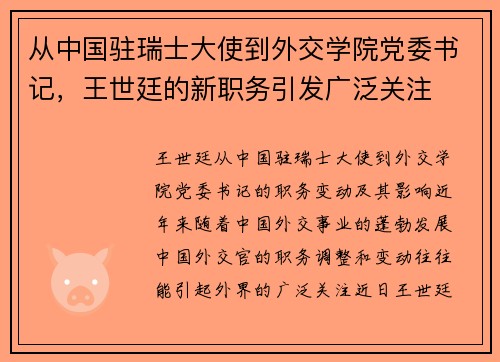 从中国驻瑞士大使到外交学院党委书记，王世廷的新职务引发广泛关注
